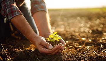 Going green – The financial benefits of investing in a cleaner future