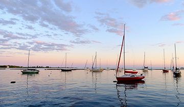 How to keep your business afloat amid rising HMRC pressures